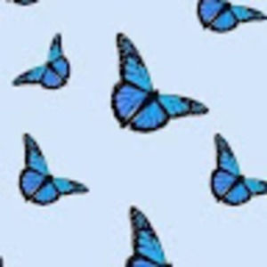 Meet your Posher, Gianna